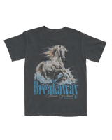 Dallas, Texas Tee - Breakaway Music Festival